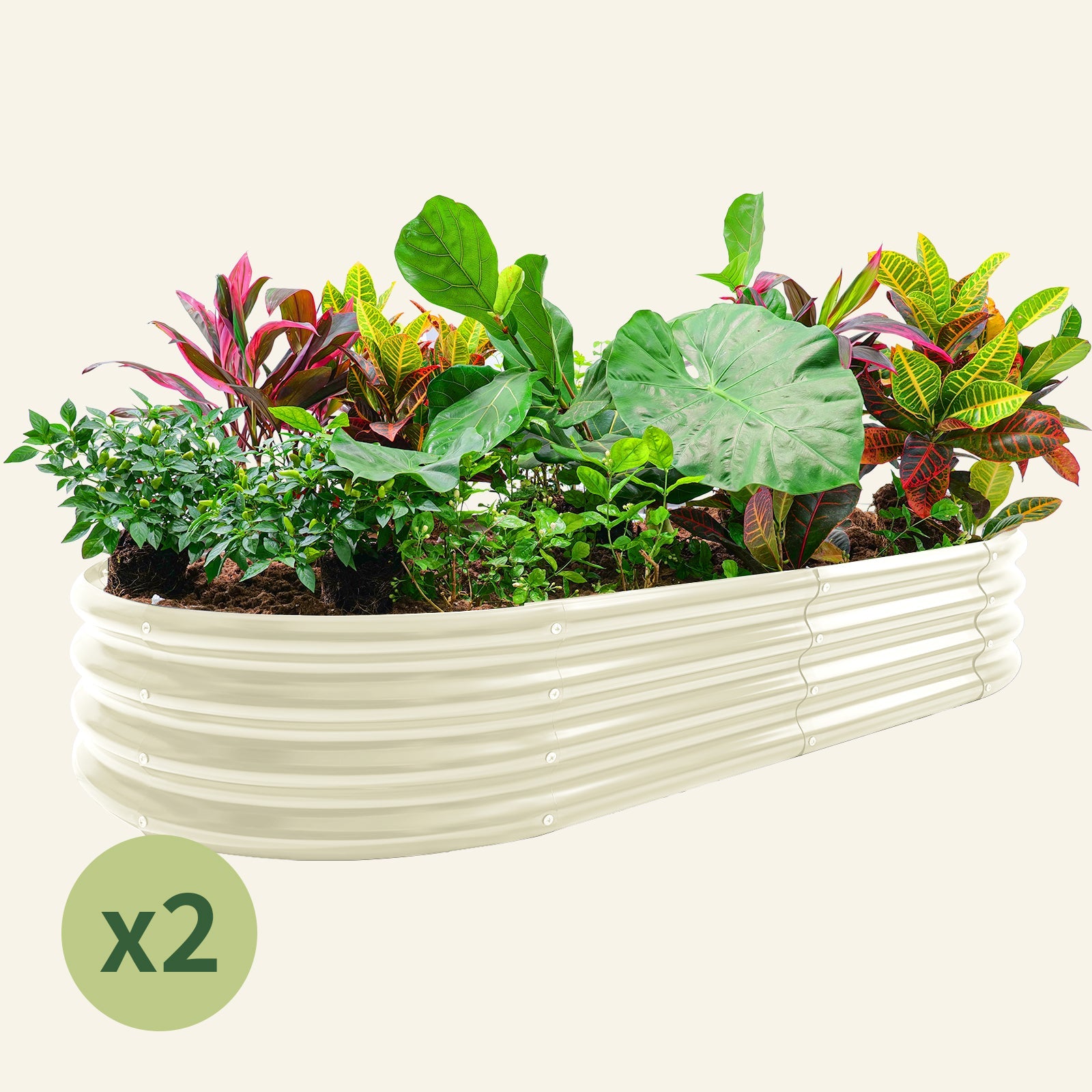 2-Pack 12'' Oval 6x3x1ft Galvanized Raised Garden Bed Kit