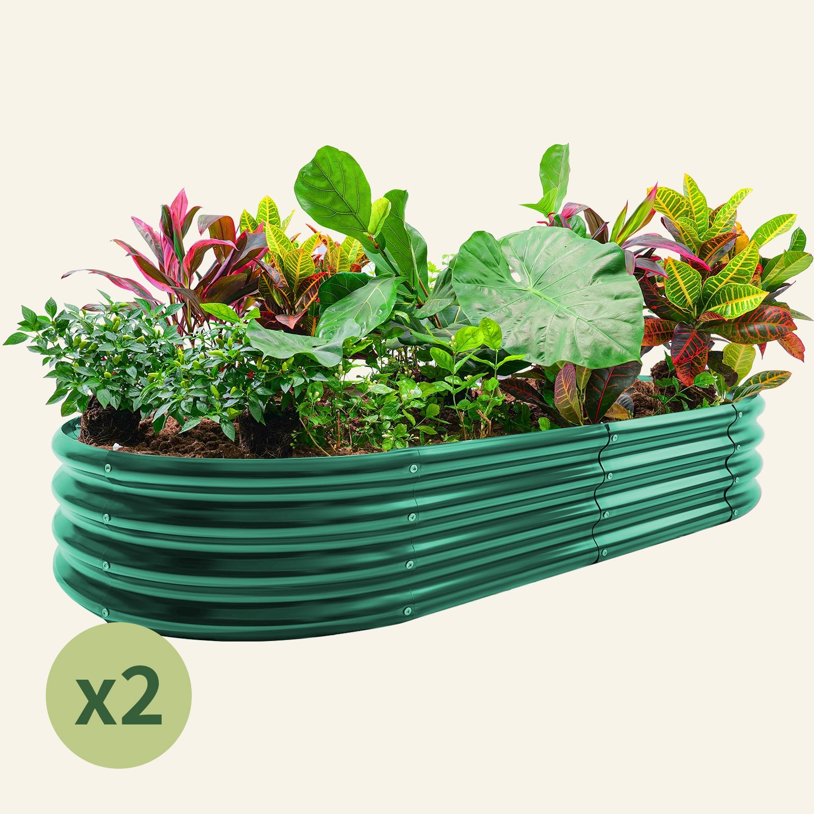 2-Pack 12"Tall Oval 8x4x1ft Galvanized Raised Garden Bed Kit